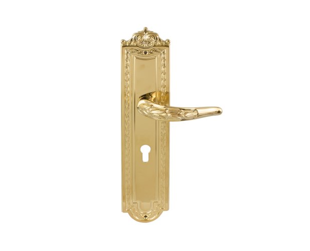 OMP PORRO LEVER HANDLE ON PLATE WITH CYLINDER HOLE 167MM PVD