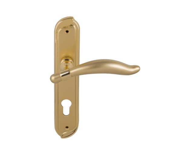 PASINI 3220 LEVER HANDLE ON PLATE WITH CYLINDER HOLE 136MM POLISHED GOLD